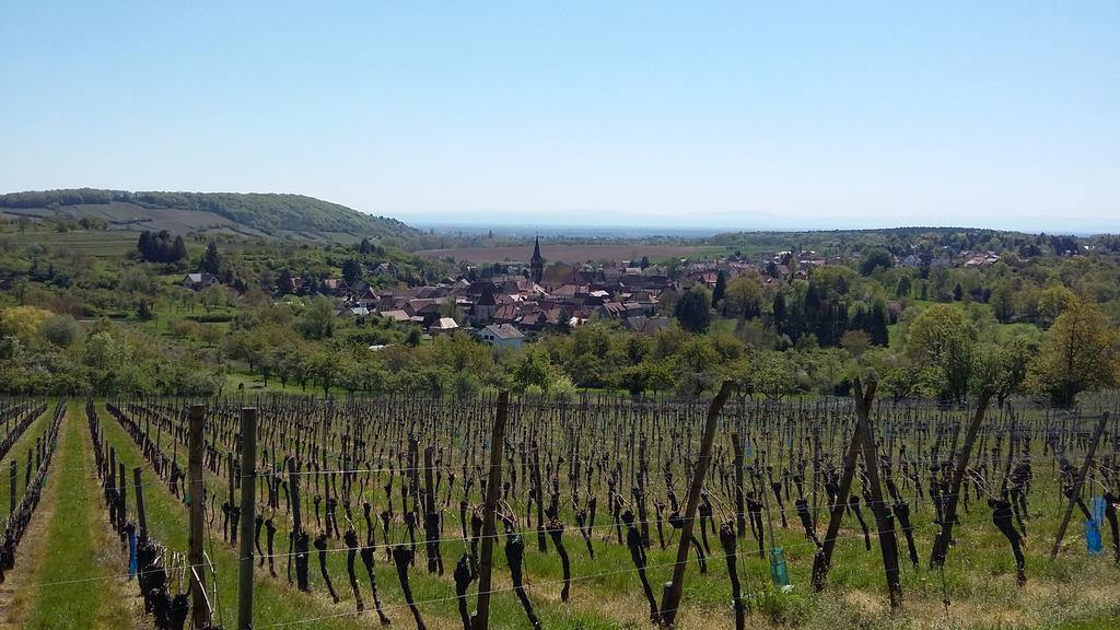 Holiday home Dans Cite Medievale